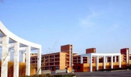 南京交通职业学院4p视频吃瓜,一场校园吃瓜大揭秘