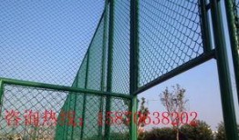 校园吃瓜围栏视频大全集,揭秘校园生活趣味瞬间