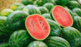 龙子湖吃瓜视频,揭秘校园生活趣味瞬间