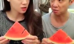 搞笑视频吃瓜免费视频,吃瓜群众狂欢盛宴