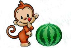 猴子吃瓜动画配乐视频播放,动画配乐中的欢乐时光