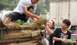 卖房子的销售吃瓜视频