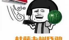 吃瓜群众第1期视频大全