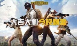 吃鸡呆瓜下场视频大全播放,笑料百出，欢乐无限