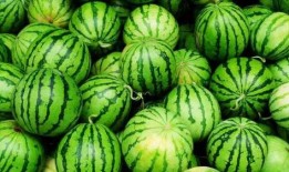 圆瓜几分钟能煮熟吃吗视频