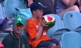 西瓜视频吃瓜少年,吃瓜少年带你领略网络热点的魅力