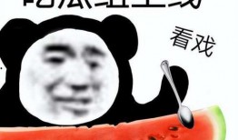 为吃瓜假装很忙视频