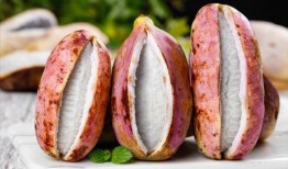 八月瓜怎么做吃的视频大全,视频教程大集合