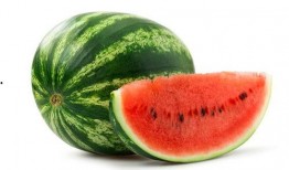 燕子吃瓜水果视频,瓜果飘香，燕子尝鲜记