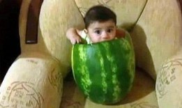 令人震惊的吃瓜视频素材,惊爆眼球！吃瓜视频揭露惊人内幕