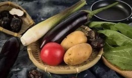 奶妈可以吃茄瓜吗视频,茄瓜，哺乳期妈妈的健康选择