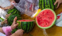 日常吃瓜的视频,揭秘热门视频背后的故事