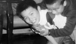 你吃瓜了吗的视频,热门视频背后的故事与影响