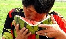 骗老太太西瓜吃瓜视频大全,揭秘骗老太太吃瓜视频背后的趣味与温情