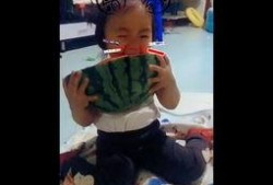 让小孩吃瓜的搞笑视频,宝宝吃瓜搞笑瞬间大盘点