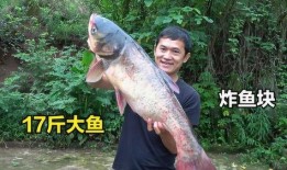 刘大瓜吃很辣的驴蹄视频,刘大瓜勇吃辣驴蹄，挑战极限滋味