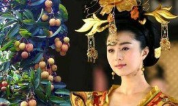 摔跤贵妃吃瓜视频播放全集,视频全集精彩回顾