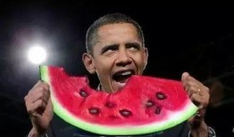 篮球明星吃瓜视频下载,揭秘场下明星的趣味生活