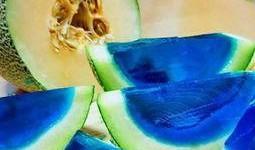 紫鹊吃瓜最新视频大全,趣味视频大盘点，欢乐瞬间尽收眼底