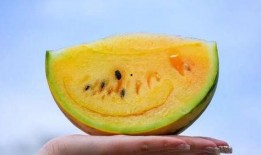 红瓜烂了可以吃吗视频,红瓜烂了还能吃吗？揭秘食品安全小常识