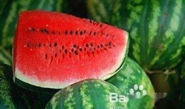 奶妈可以吃茄瓜吗视频,茄瓜，哺乳期妈妈的健康选择