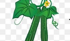 吃瓜动画合集视频大全在线观看,笑料百出，欢乐无限