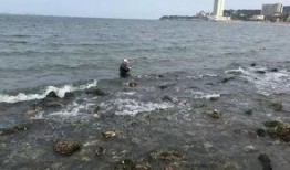 威海海边吃瓜事件始末视频,一场争议背后的真相与反思