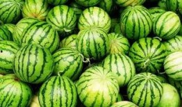 吃瓜视频较火,揭秘娱乐圈幕后故事