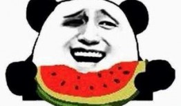 好漂亮吃瓜群众视频大全,揭秘热门视频背后的趣味故事