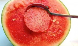 西瓜吃瓜原视频,揭秘网红美食背后的故事