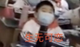 小学生逆天吃瓜视频大全,揭秘校园里的“瓜界奇才”