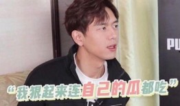 李现采访吃瓜视频大全集,揭秘明星幕后趣事