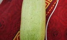 小瓜如何快速切片吃视频,视频教你快速美味享用