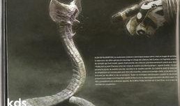 异形生物吃瓜视频大全,揭秘异形生物吃瓜瞬间