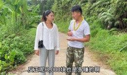 社会百态吃瓜视频大全集,吃瓜视频大全集深度解析