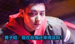 黄子韬吃瓜直播视频下载,揭秘娱乐圈幕后故事