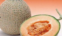 李美玲吃哈密瓜视频