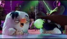 阿星与阿奇吃瓜系列视频,吃瓜系列，揭秘娱乐圈幕后故事