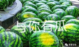 兰州大学吃的瓜视频,校园美食文化新风尚