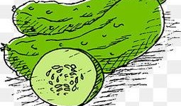 吃瓜动画合集视频大全在线观看,笑料百出，欢乐无限