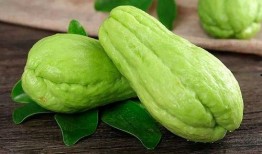 美食测评吃佛手瓜视频,口感与营养的双重享受