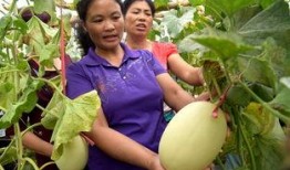 广西河池吃瓜事件视频,一场引发热议的街头冲突瞬间
