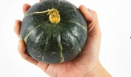 圆瓜几分钟能煮熟吃吗视频