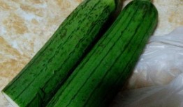 瓜叶怎么做菜吃最好吃视频,家常美味瓜叶菜做法大揭秘