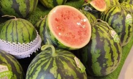 每日吃瓜会视频,揭秘娱乐圈幕后故事，带你领略明星真实生活