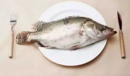 小姑娘吃巴瓜鱼好吗视频,小姑娘的味蕾探险记