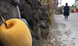 济州岛吃瓜视频,一场视觉与味蕾的双重盛宴