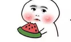 吃瓜菌呀盘点爆笑视频,爆笑视频集锦，笑点满满，欢乐无限