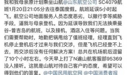国内综艺吃瓜视频,揭秘热门综艺幕后故事