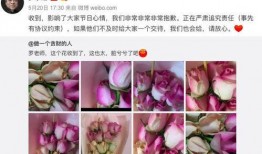 吃瓜带货直播视频,趣味互动，购物新体验